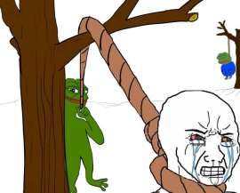 53