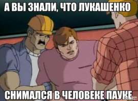 600x439