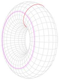 229x311