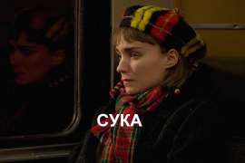 81