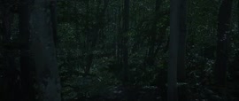720x304