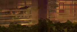 1280x532