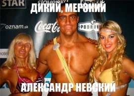590x423