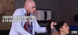 525x240