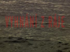 320x240