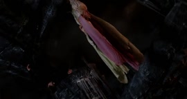 720x384