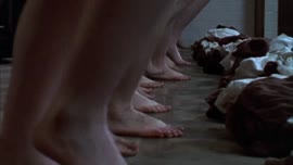 600x338