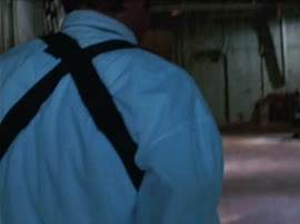 352x264
