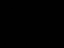 720x544