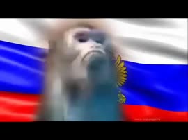 640x480