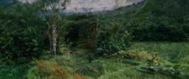 852x360