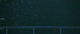 1000x427