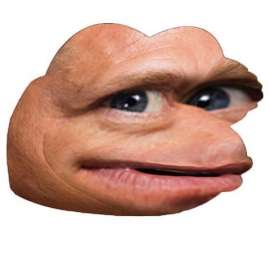 480x480