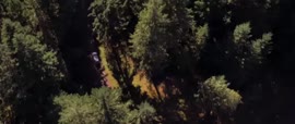 640x272