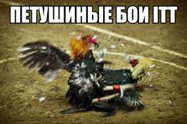 600x399