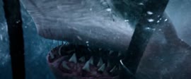 1000x416