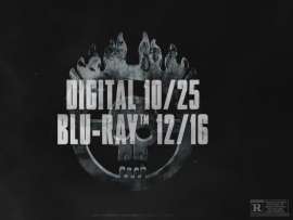 1213x915