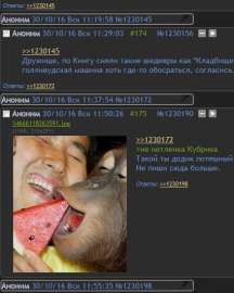 425x529