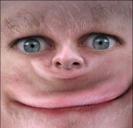 450x434