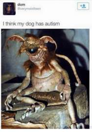 500x717