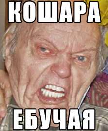 400x486