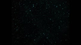 640x360