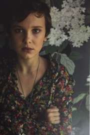 545x815