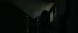 720x304