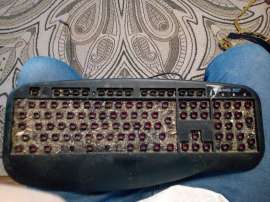 1253x940