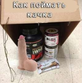 482x489