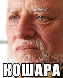 378x461