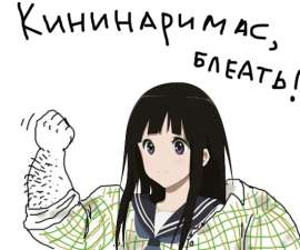 530x442