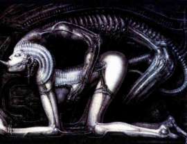 500x387