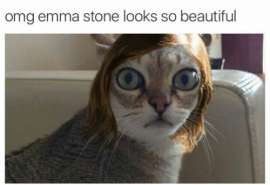 500x344