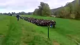 426x240