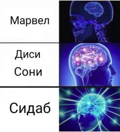 445x486