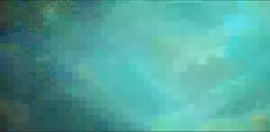 600x294