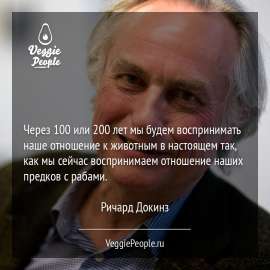 900x900
