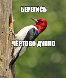 500x591