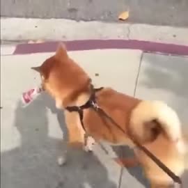 360x360