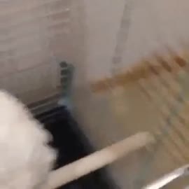360x360