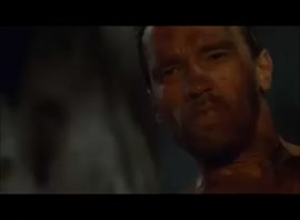 490x360