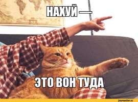 600x445