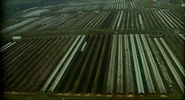 500x272