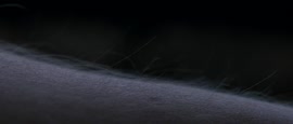 1280x546