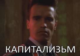 486x337