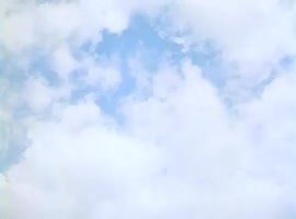 484x360
