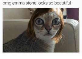 500x358