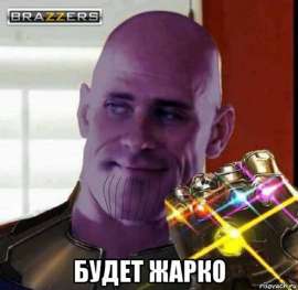 492x480