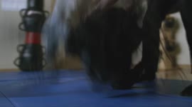 720x400